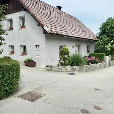 Appartamento Apartmaji Magda Zgornje Gorje Esterno foto