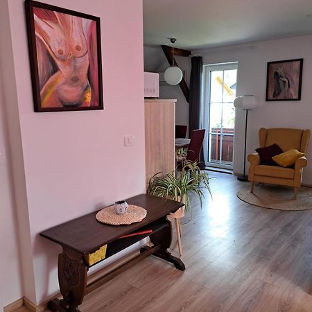 Appartamento Apartmaji Magda Zgornje Gorje Esterno foto