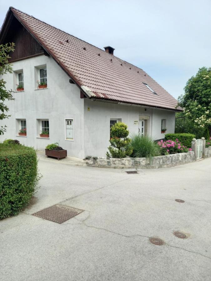 Appartamento Apartmaji Magda Zgornje Gorje Esterno foto