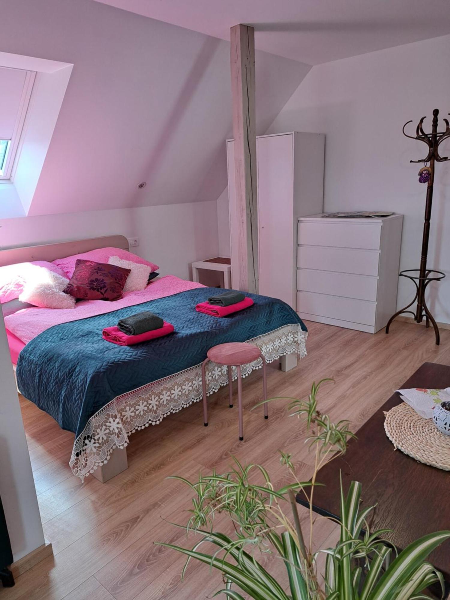 Appartamento Apartmaji Magda Zgornje Gorje Esterno foto