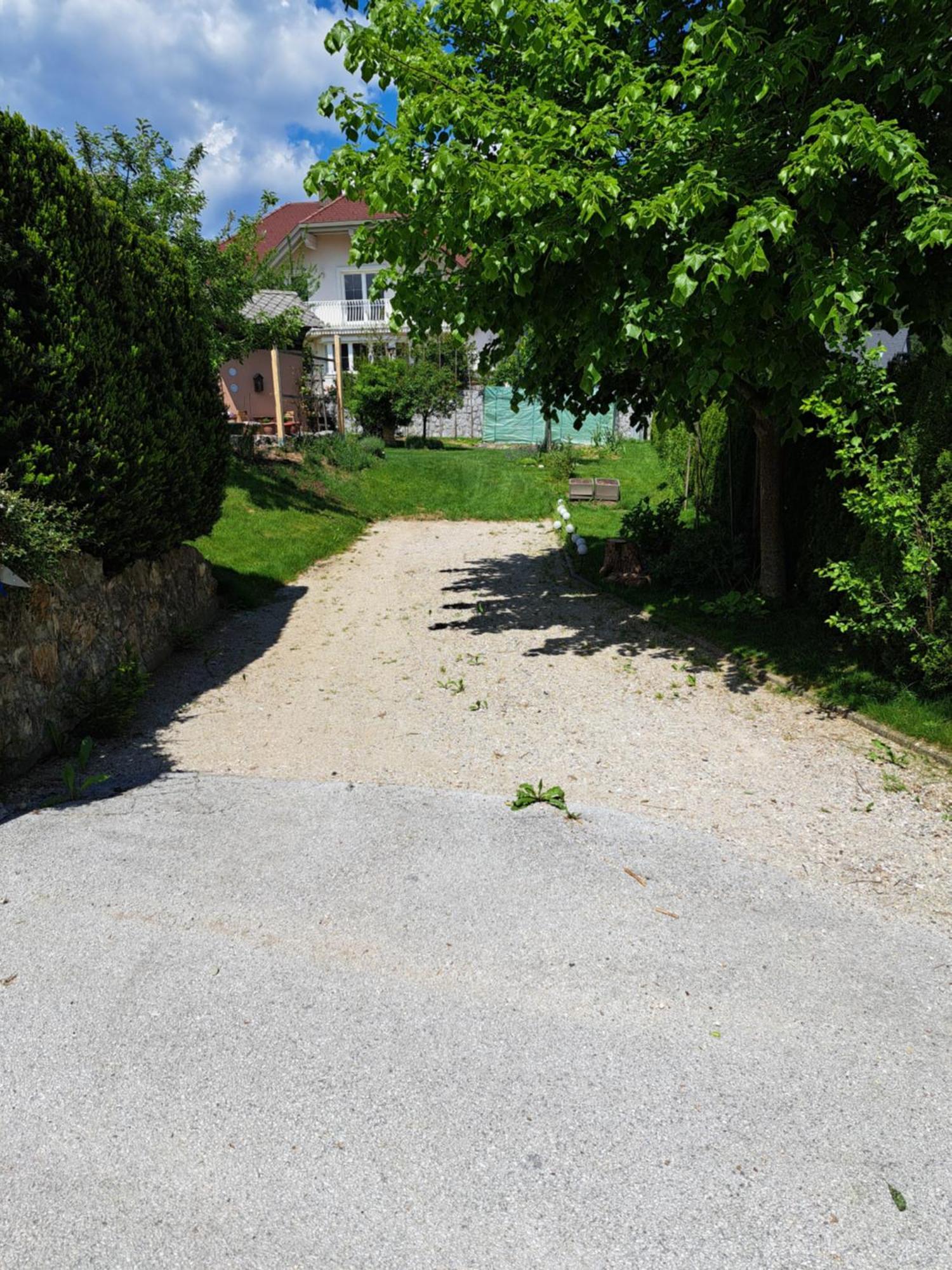 Appartamento Apartmaji Magda Zgornje Gorje Esterno foto