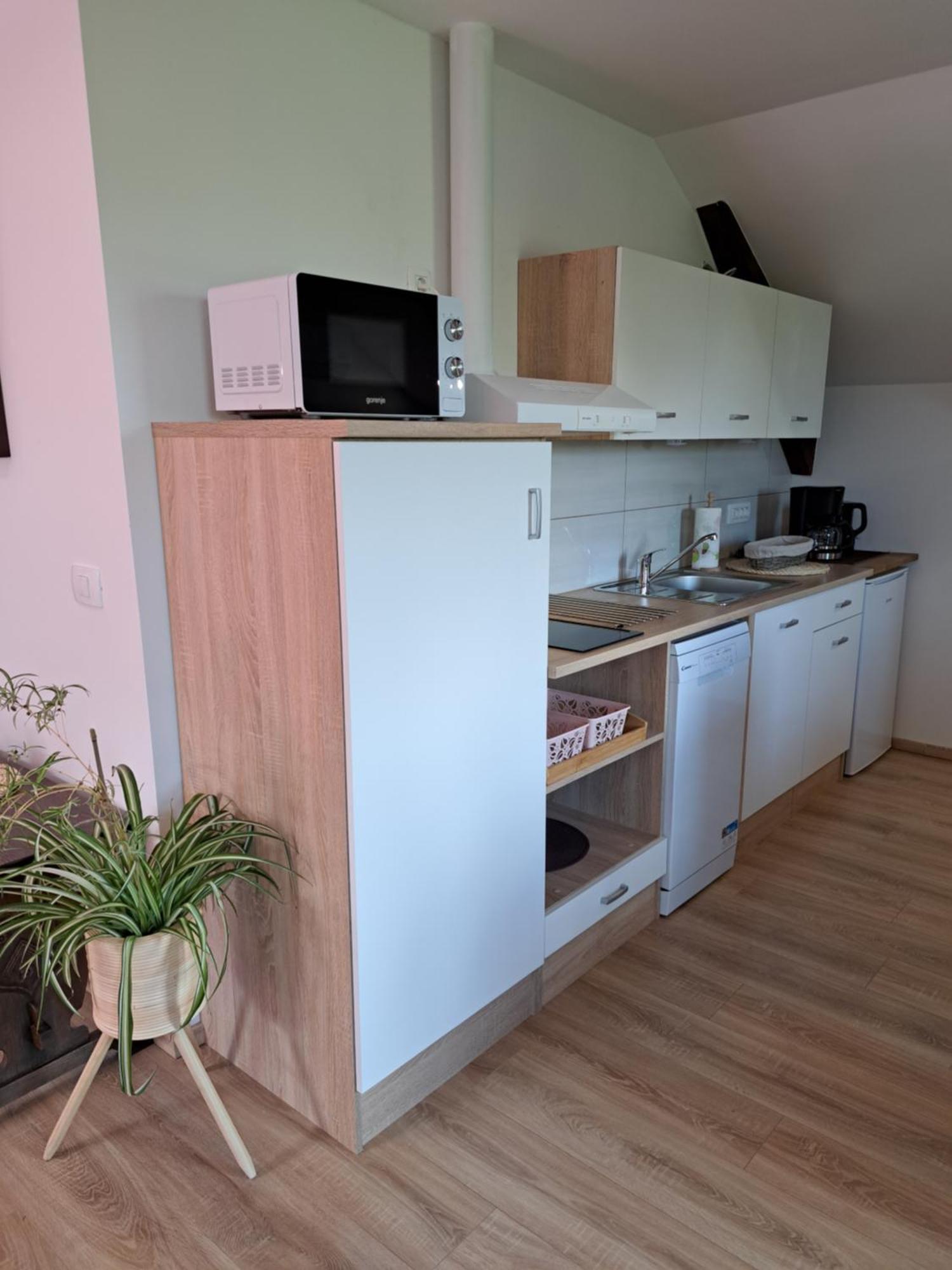 Appartamento Apartmaji Magda Zgornje Gorje Esterno foto