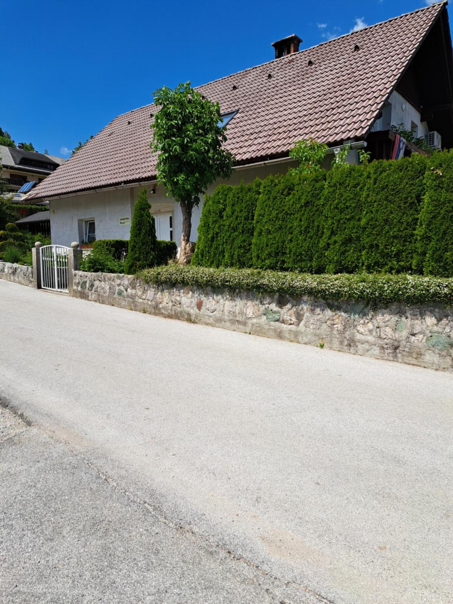 Appartamento Apartmaji Magda Zgornje Gorje Esterno foto